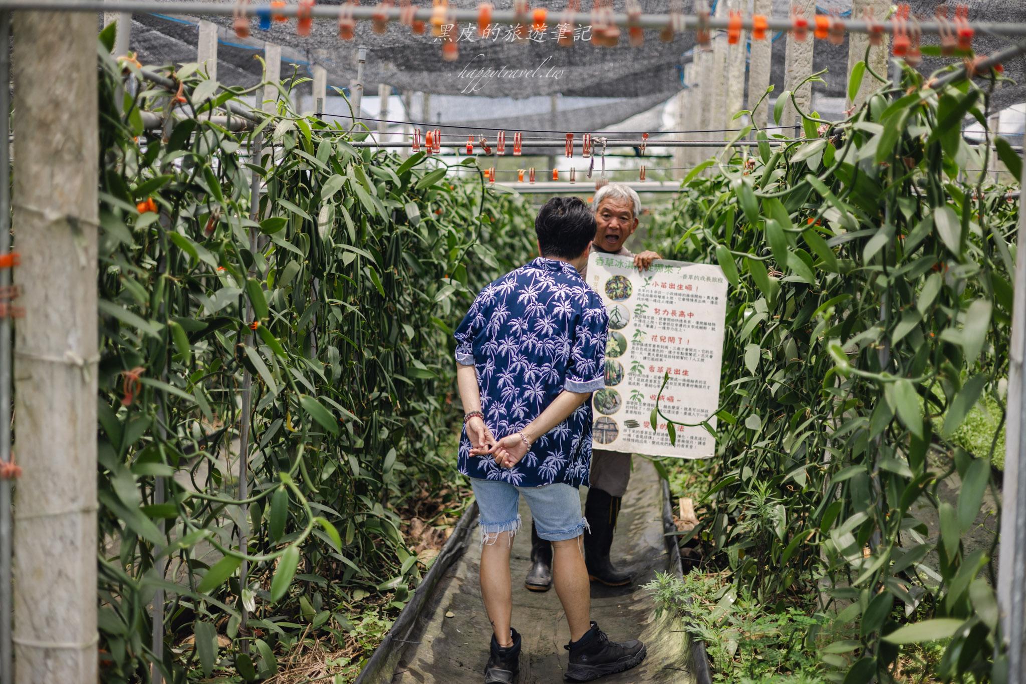 飲咖啡都蘭山下香草園 |藏身台東都蘭山下的香草秘境。東河咖啡廳 24 飲咖啡都蘭山下香草園