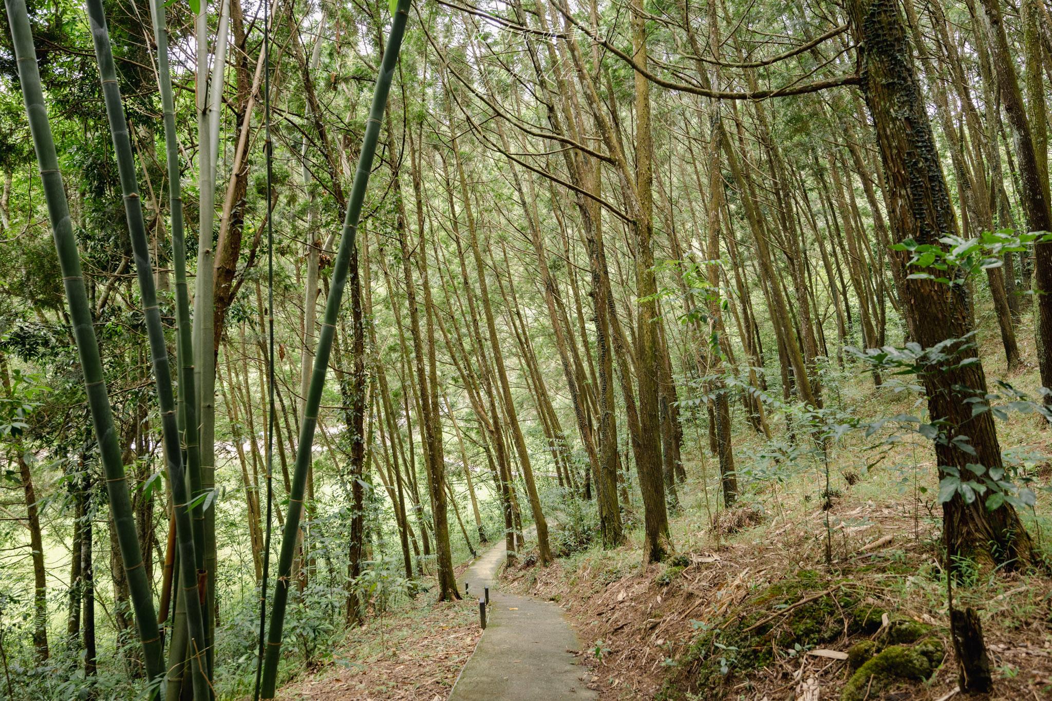 埔里包棟民宿