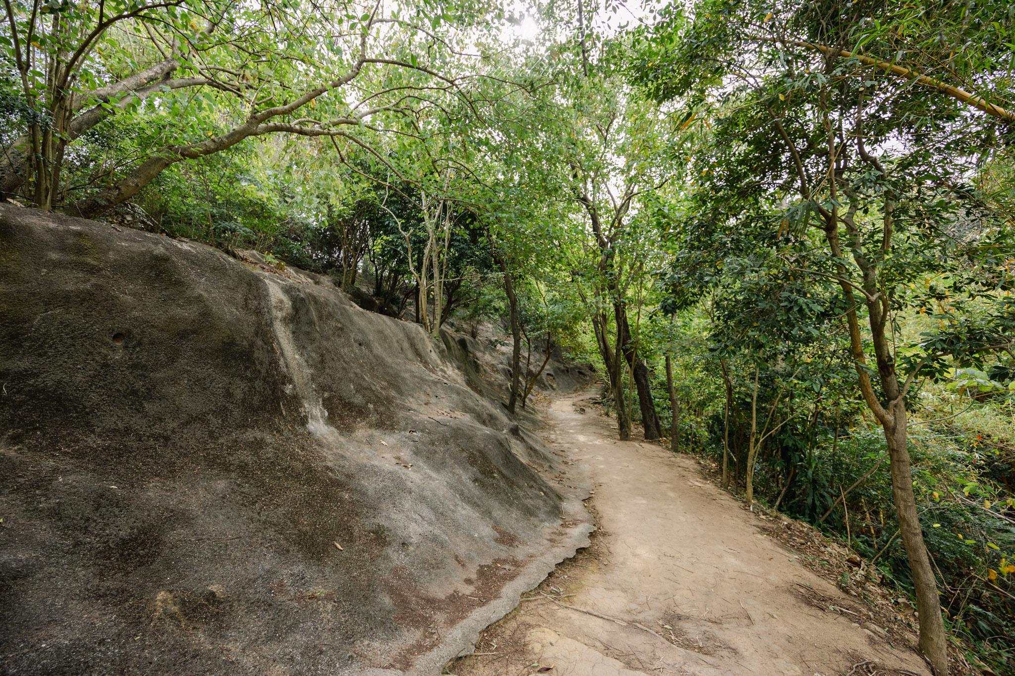 前深水埗配水庫|香港百年地下水宮殿!走進主教山秘境,探訪媲美古羅馬的歷史建築。香港九龍景點 43 前深水埗配水庫