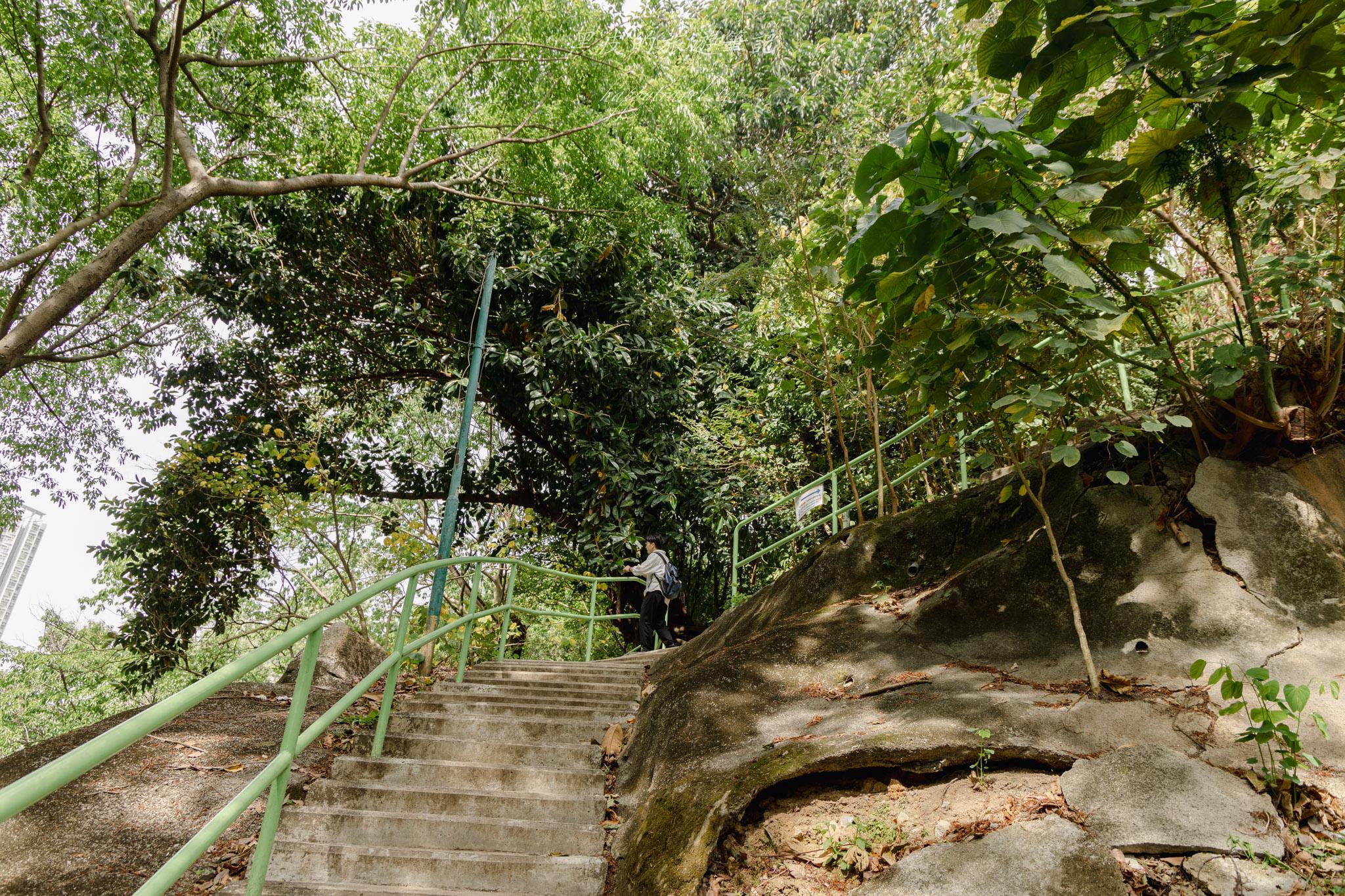 前深水埗配水庫|香港百年地下水宮殿!走進主教山秘境,探訪媲美古羅馬的歷史建築。香港九龍景點 28 前深水埗配水庫