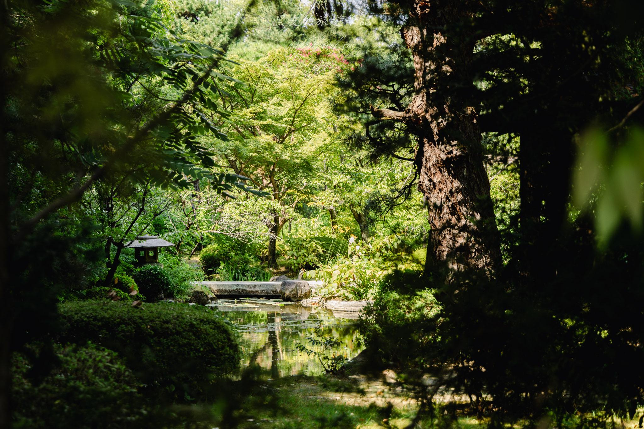京都平安神宮|京都最美朱紅神社!巨大鳥居、日式庭園神苑,避開人潮的京都秘境。京都景點推薦 56 京都平安神宮