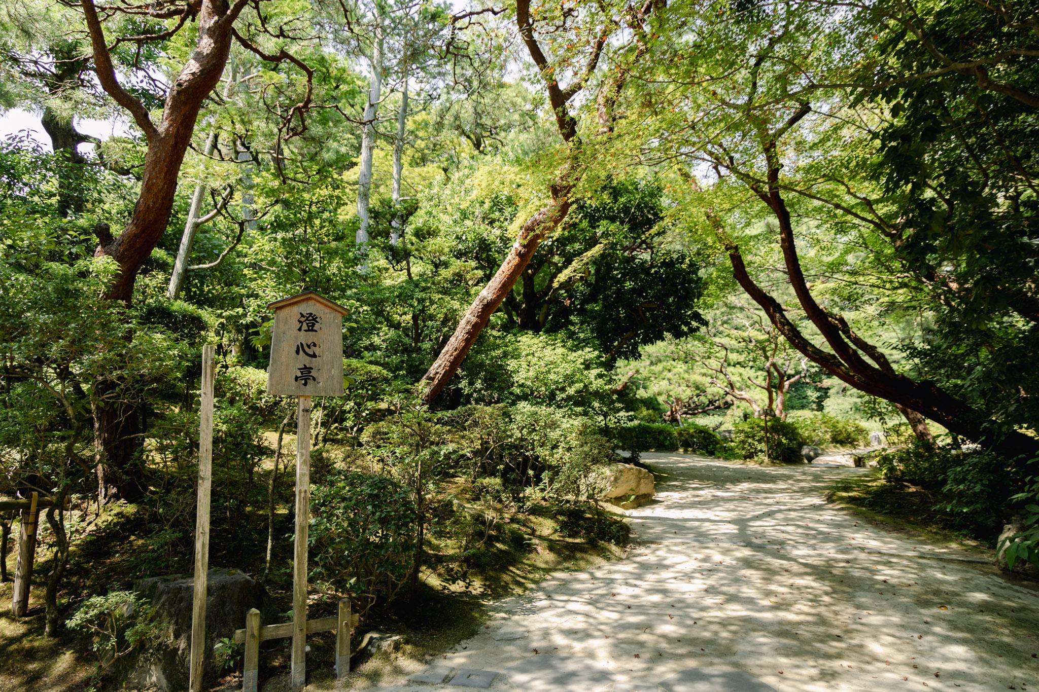 京都平安神宮|京都最美朱紅神社!巨大鳥居、日式庭園神苑,避開人潮的京都秘境。京都景點推薦 61 京都平安神宮