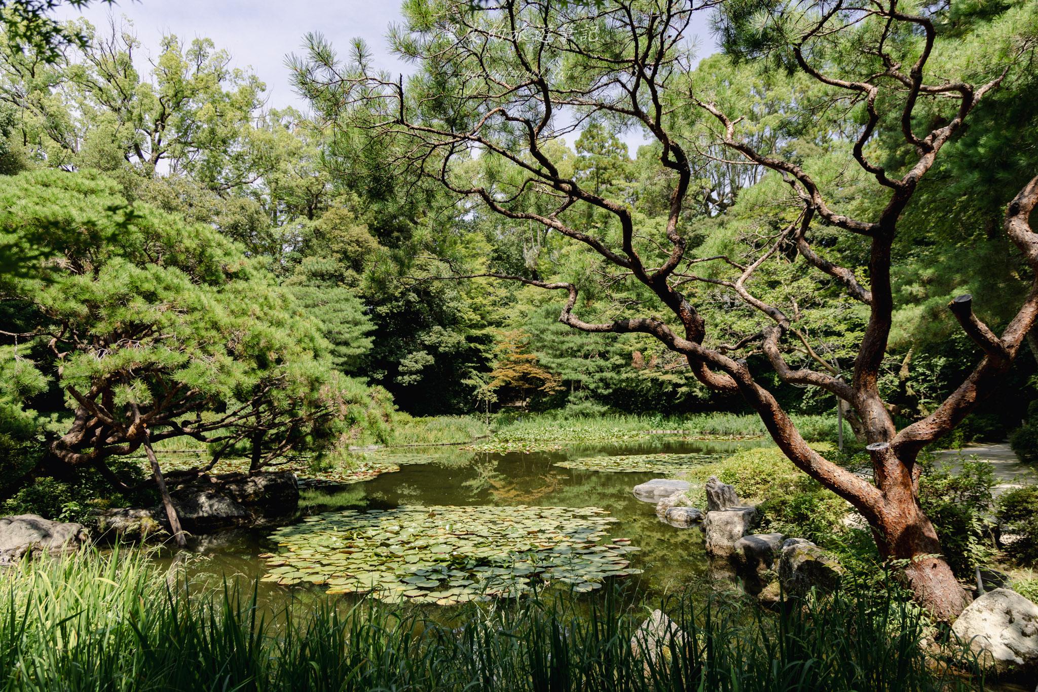 京都平安神宮|京都最美朱紅神社!巨大鳥居、日式庭園神苑,避開人潮的京都秘境。京都景點推薦 62 京都平安神宮