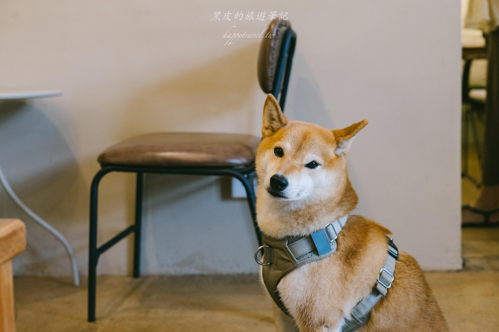 三宅千金|藏在茶鄉裡的老宅咖啡館,在懷舊老宅中感受名間的人情味。名間咖啡廳 52 名間咖啡廳